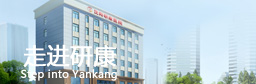 王玉珍